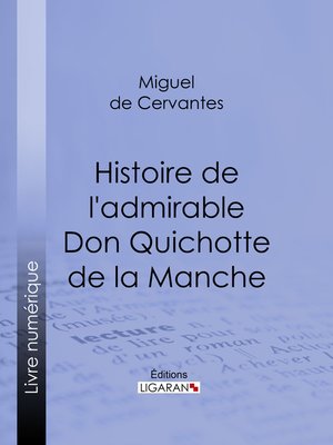 cover image of Histoire de l'admirable Don Quichotte de la Manche